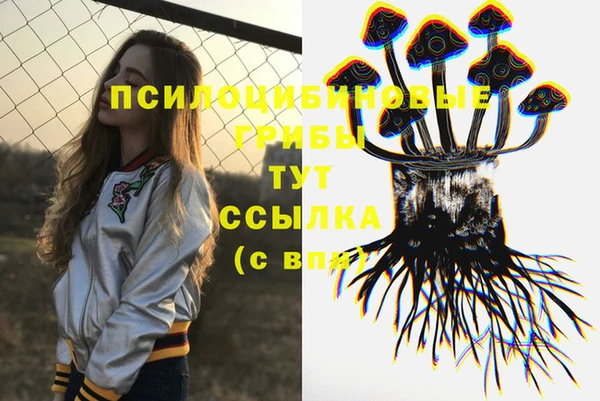прущая мука Арсеньев