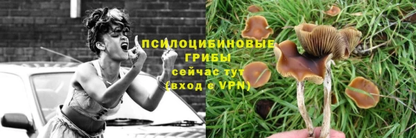 гидропоника Баксан